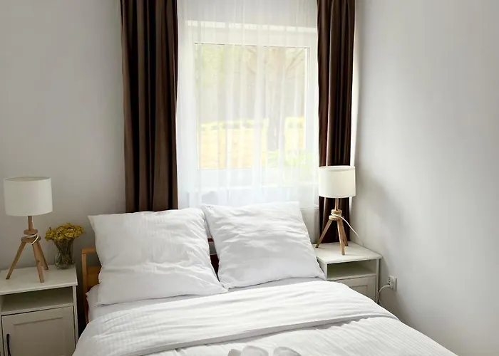 Lobeliowy Port * Borzyszkowy